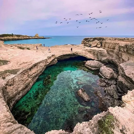 Il Timone B&B 산포카